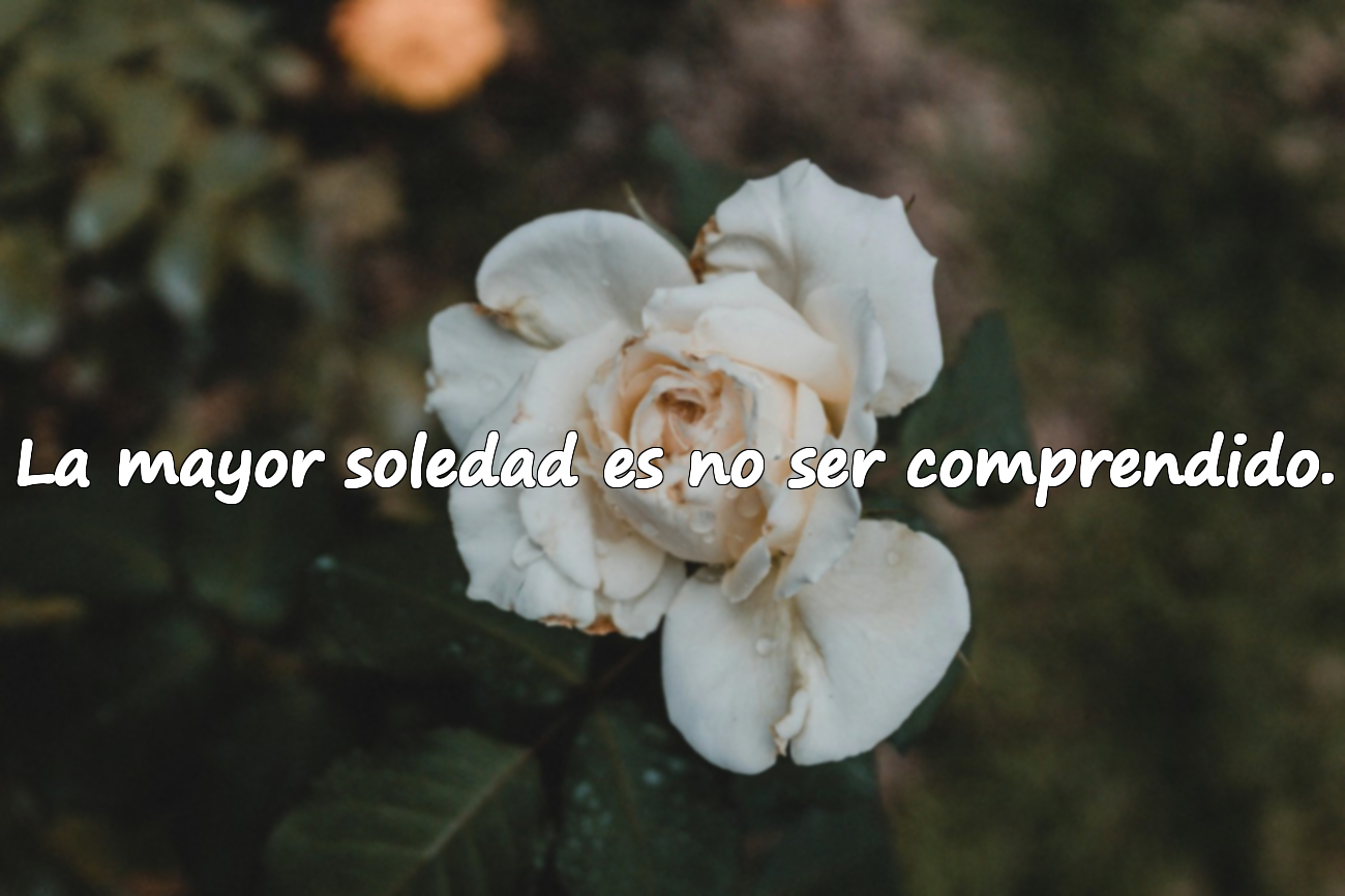Bellas frases sobre la soledad