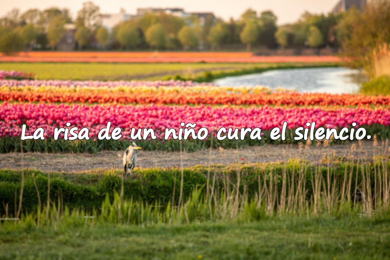 La risa de un niño cura el silencio.
