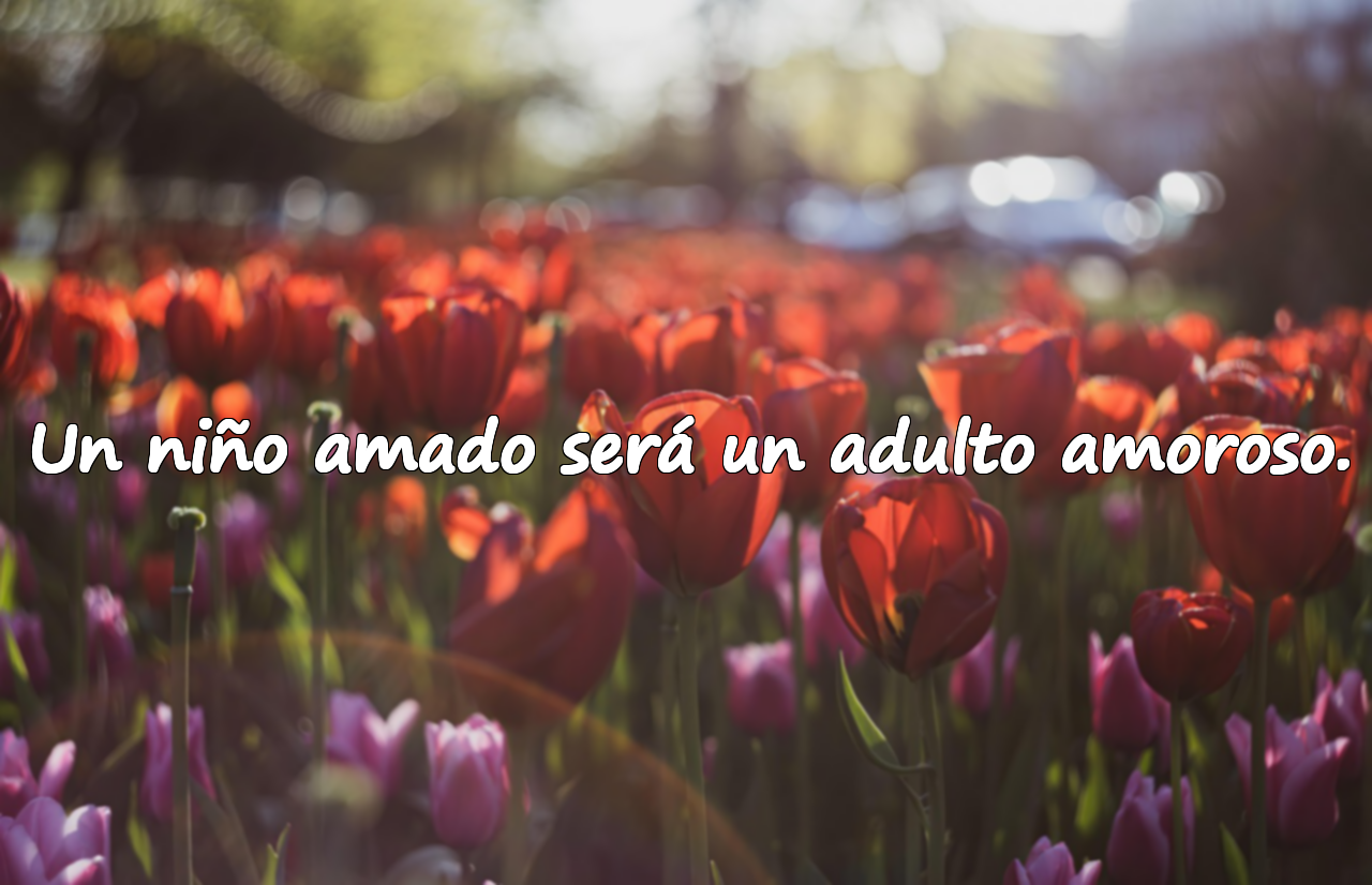 Un niño amado será un adulto amoroso.