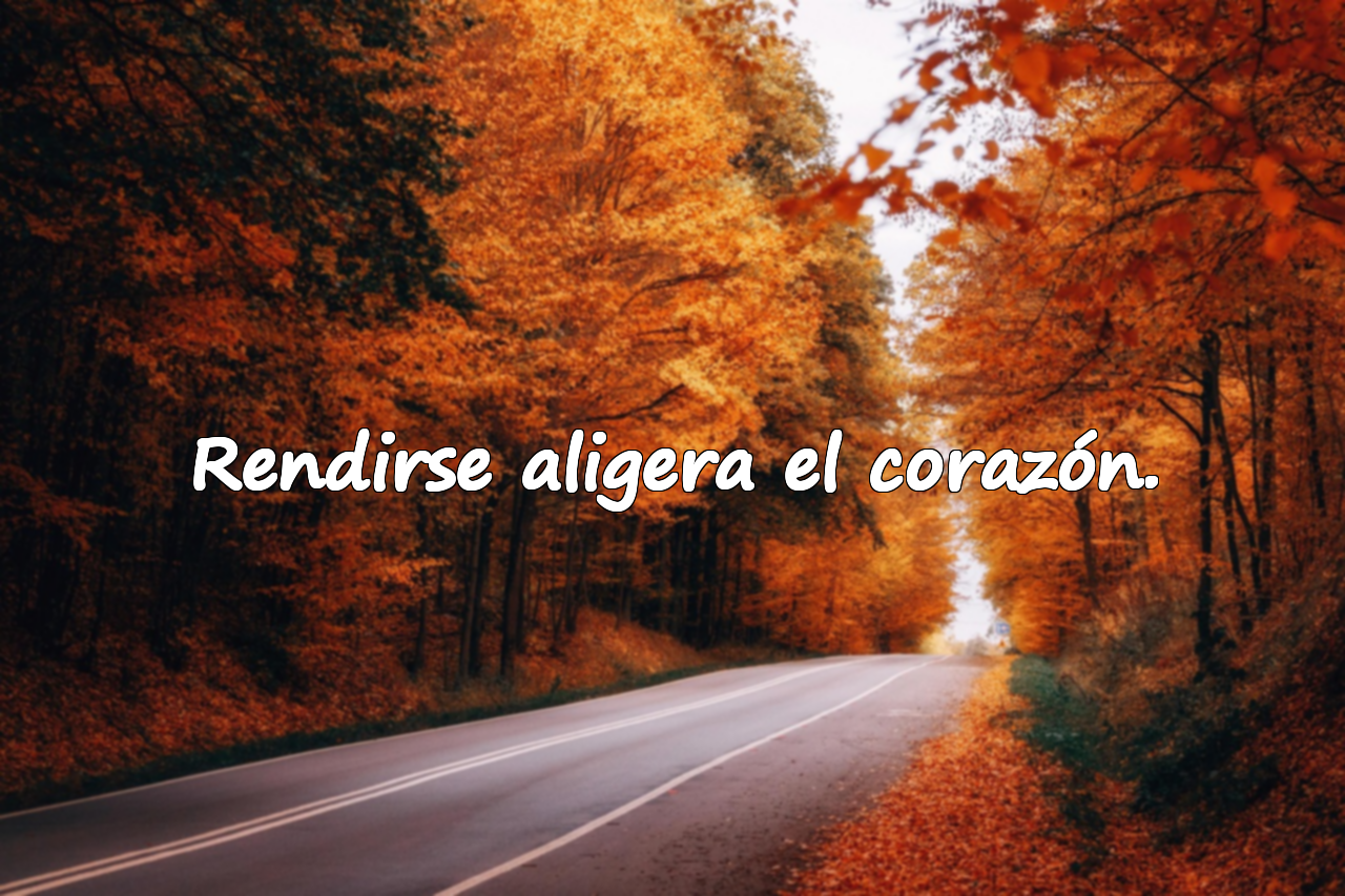 Bellas frases sobre rendirse