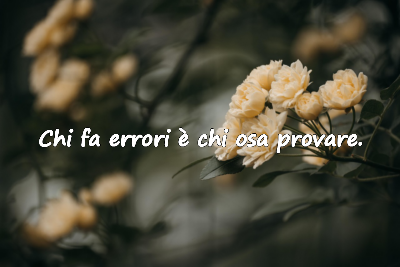Chi fa errori è chi osa provare.