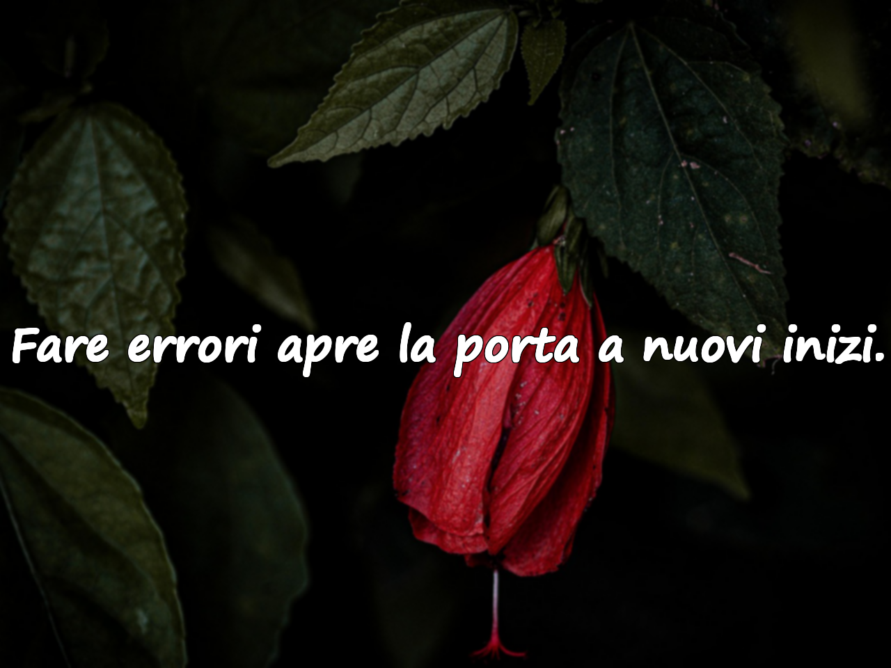 Belle citazioni sugli errori