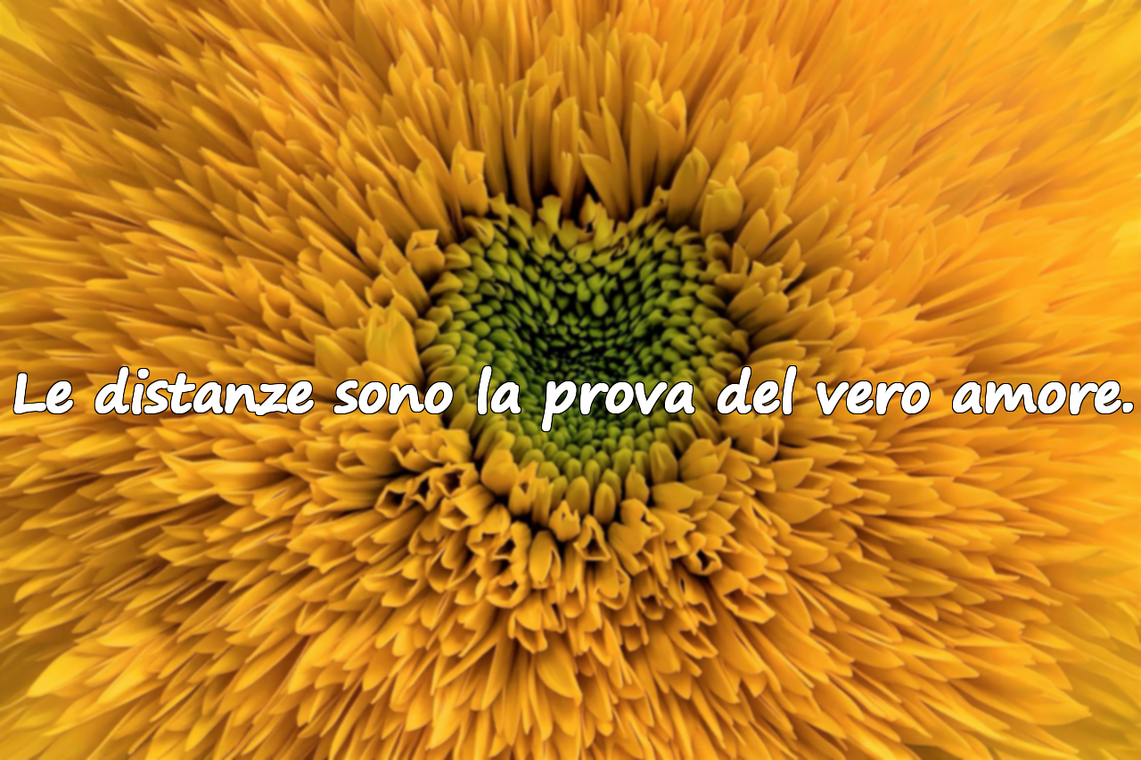 Belle citazioni sull’amare da lontano