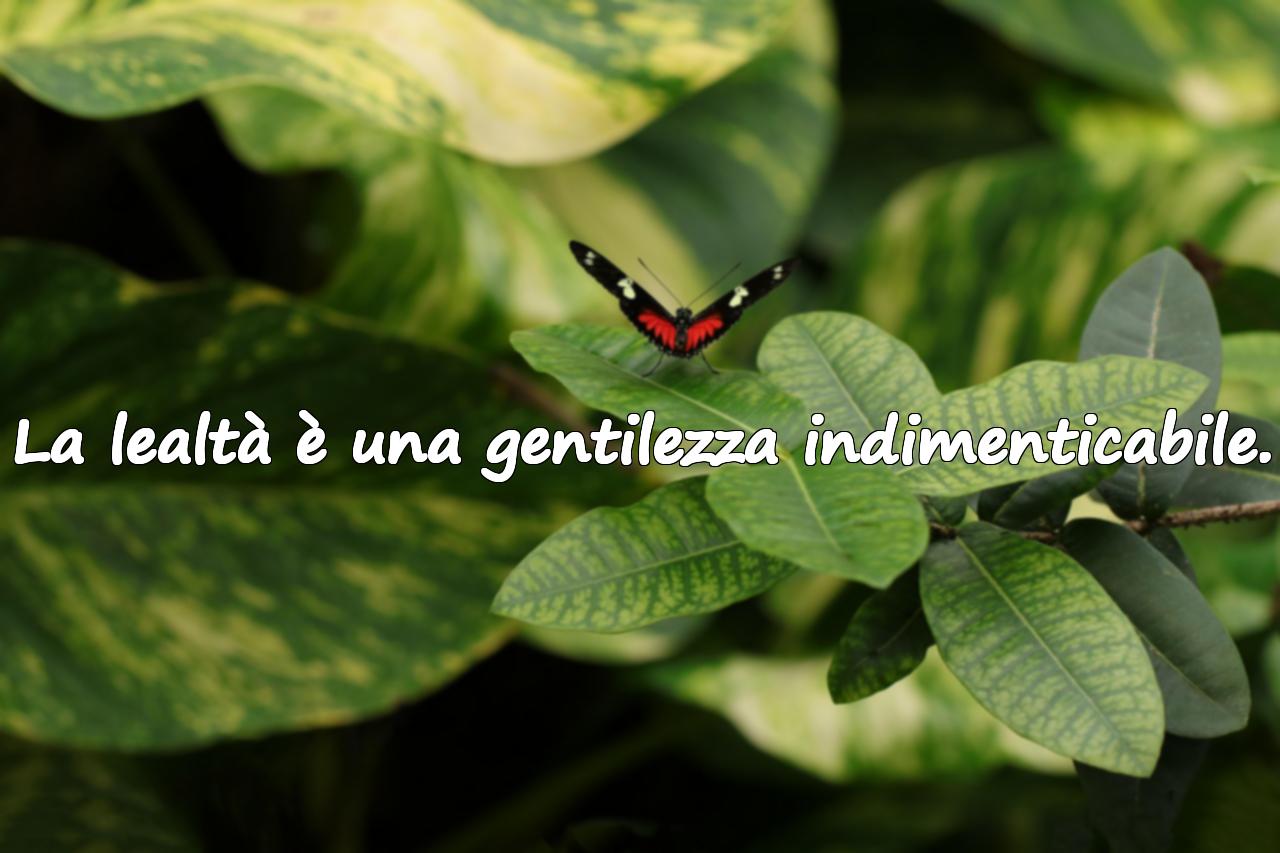 La lealtà è una gentilezza indimenticabile.