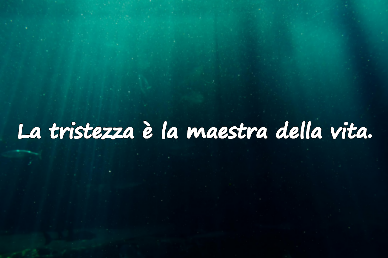 La tristezza è la maestra della vita.