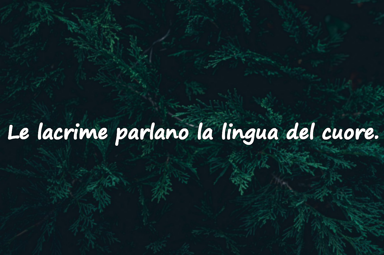 Le lacrime parlano la lingua del cuore.