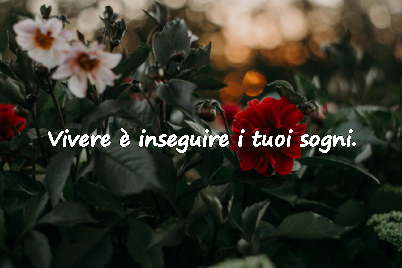 Vivere è inseguire i tuoi sogni.
