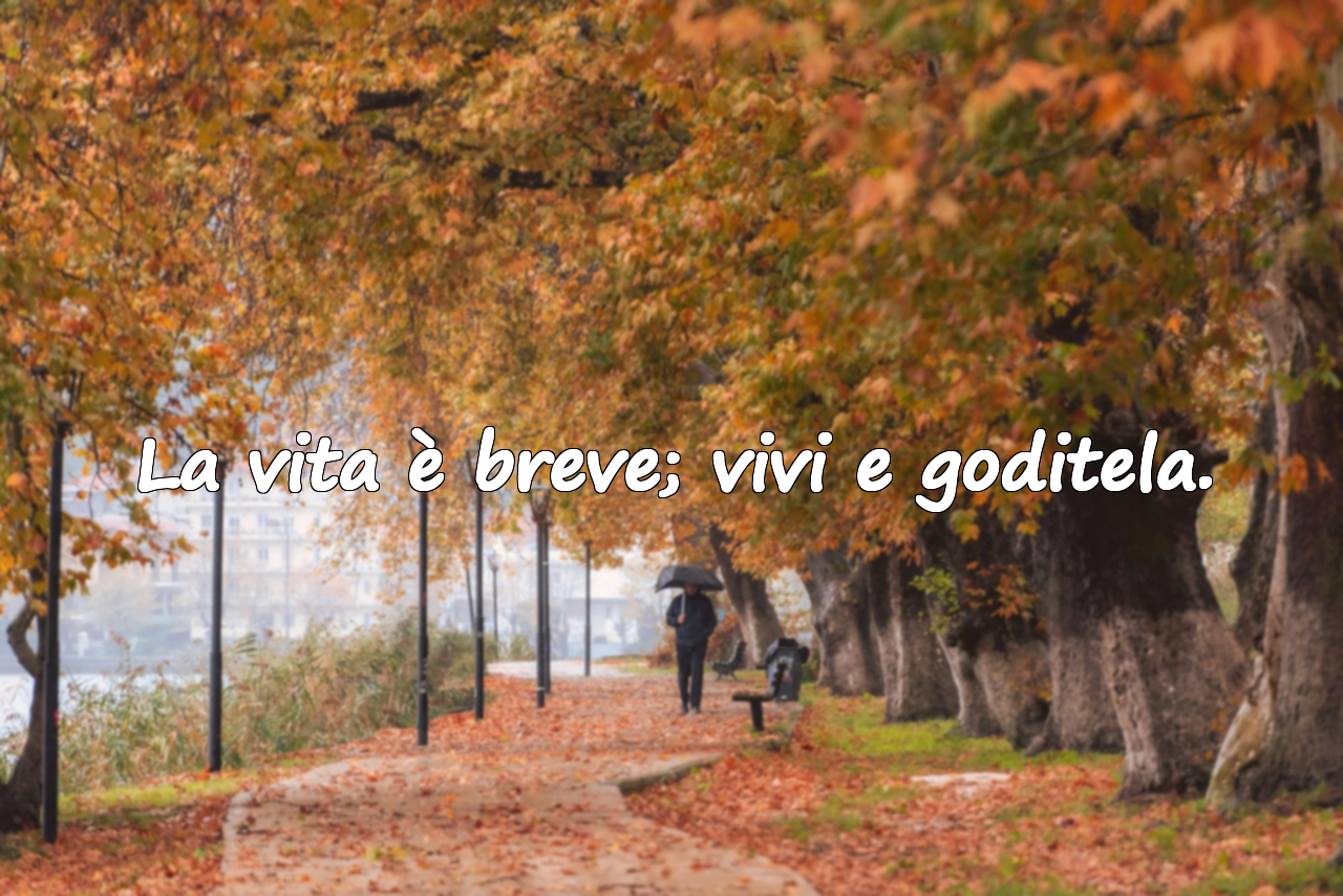La vita è breve; vivi e goditela.