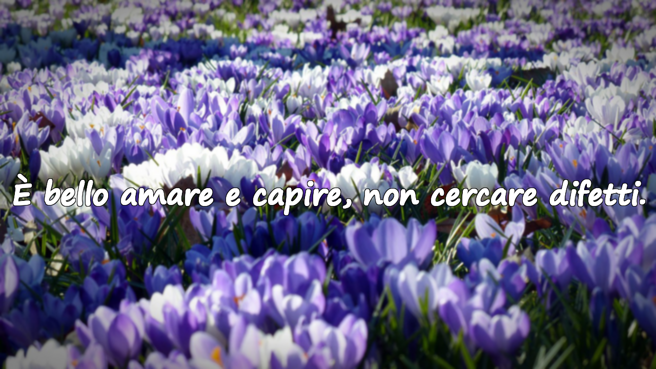 È bello amare e capire, non cercare difetti.