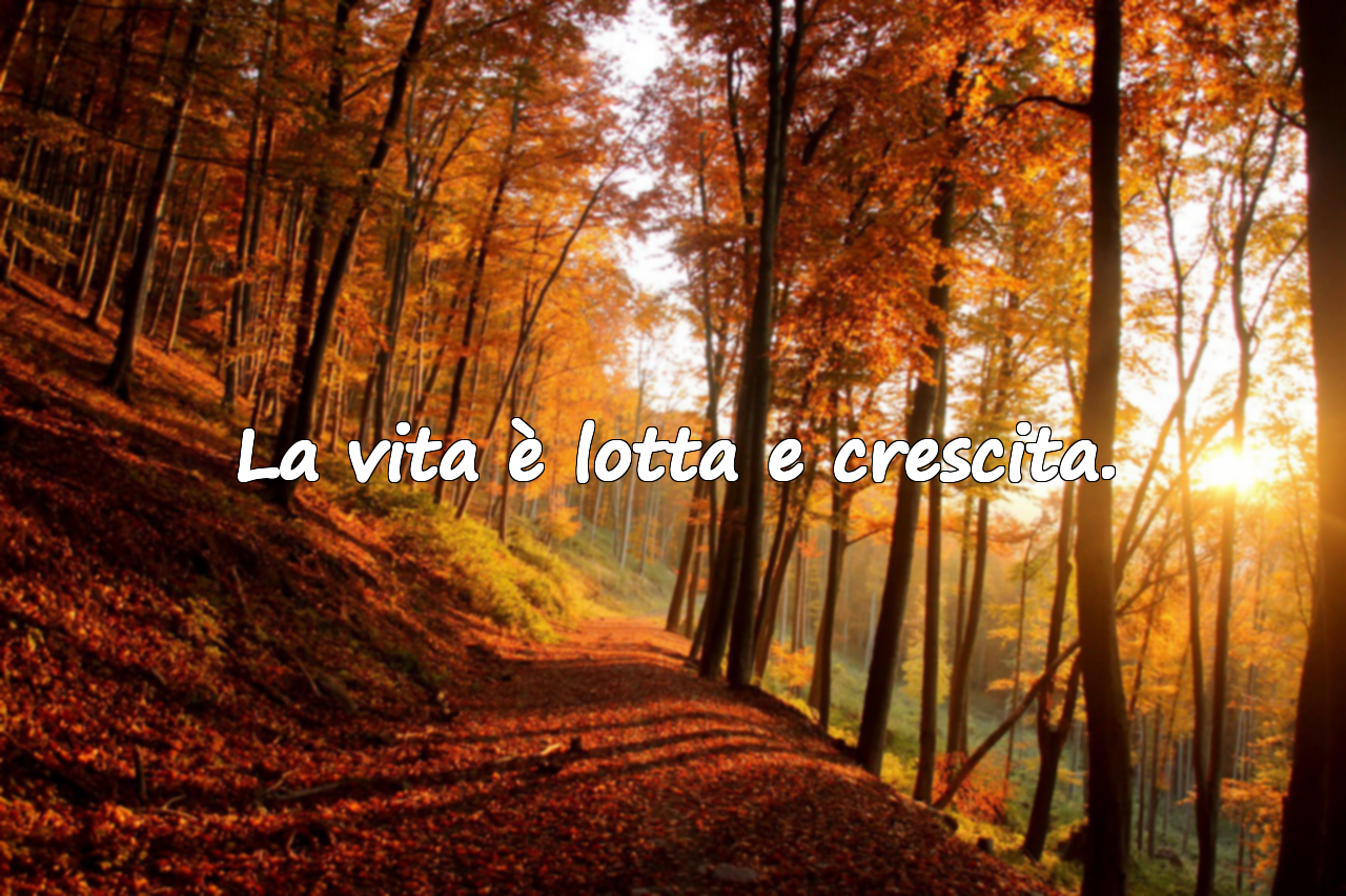 Belle frasi sulla vita
