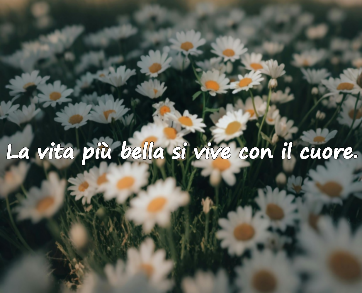 Belle frasi sulla vita