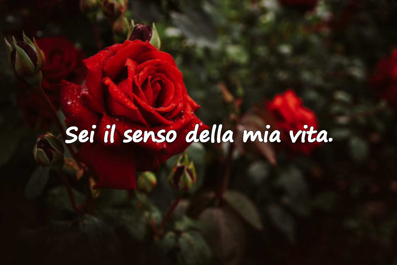 Sei il senso della mia vita.