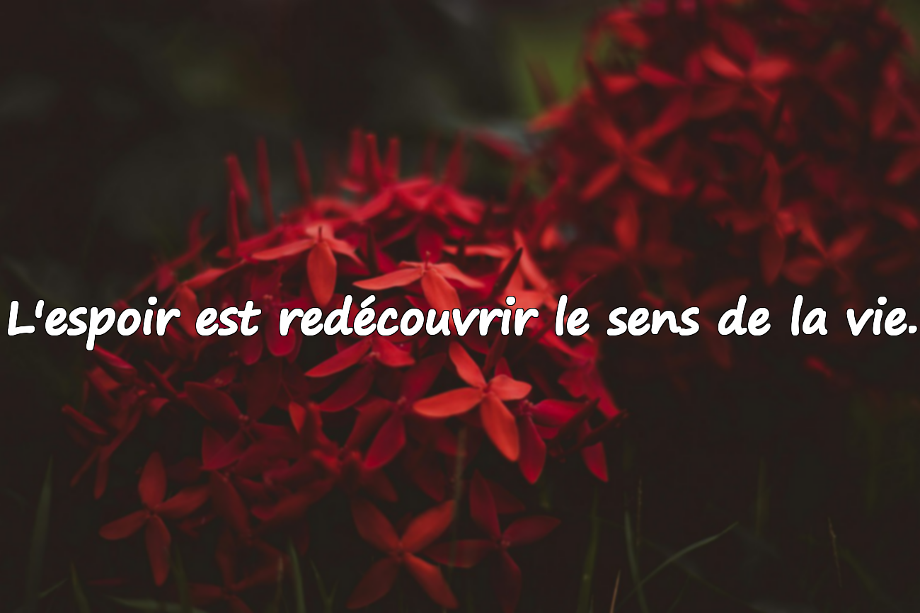 Belles citations sur l'espoir