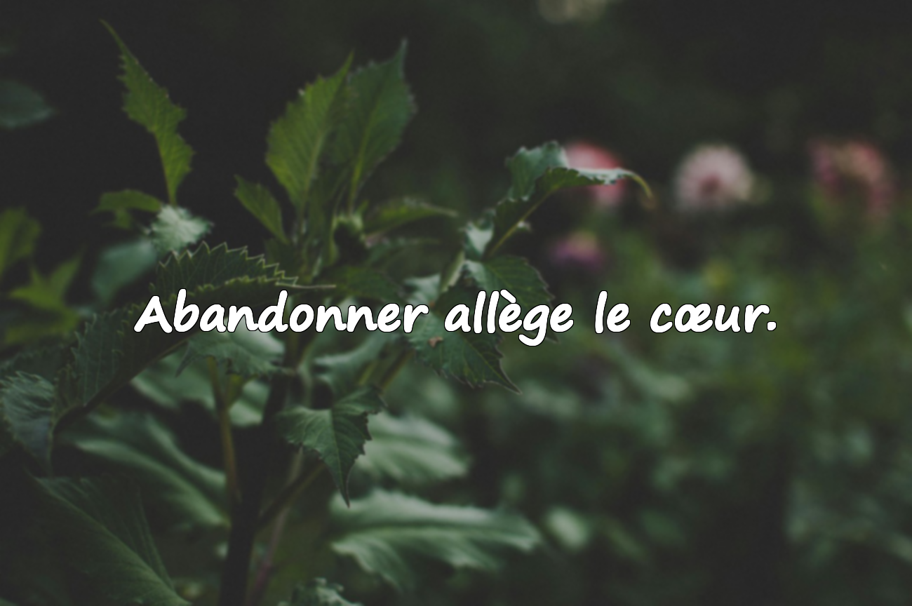 Belles citations sur l’abandon