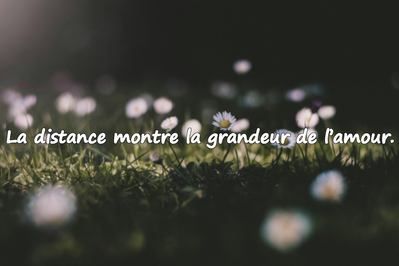 Belles citations sur l’amour à distance