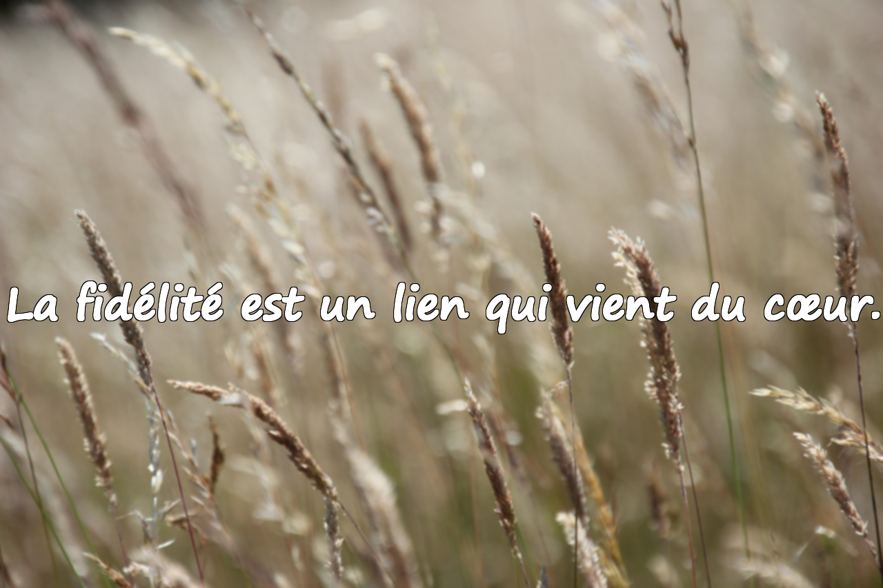 Belles citations sur la fidélité