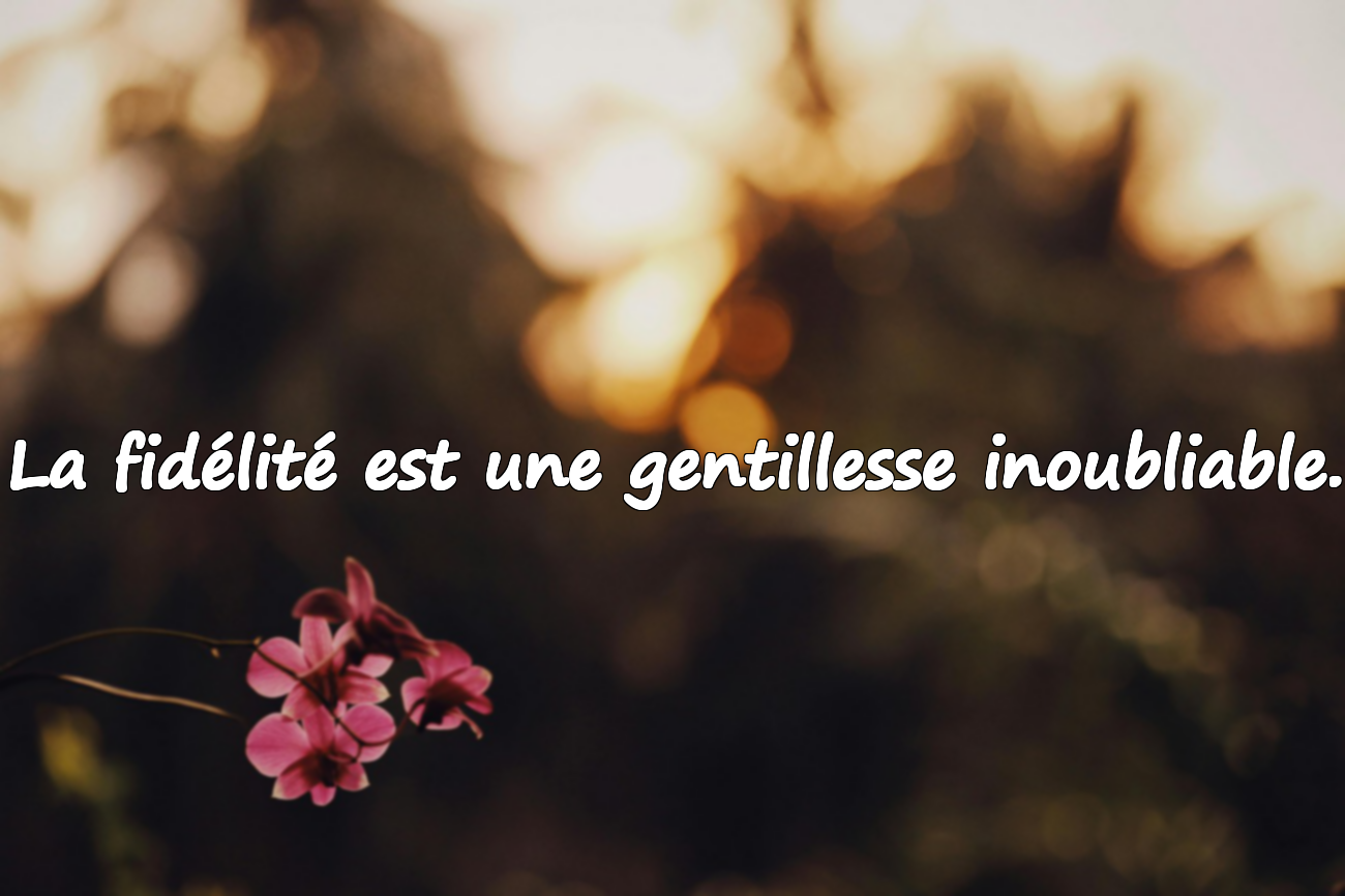 Belles citations sur la fidélité