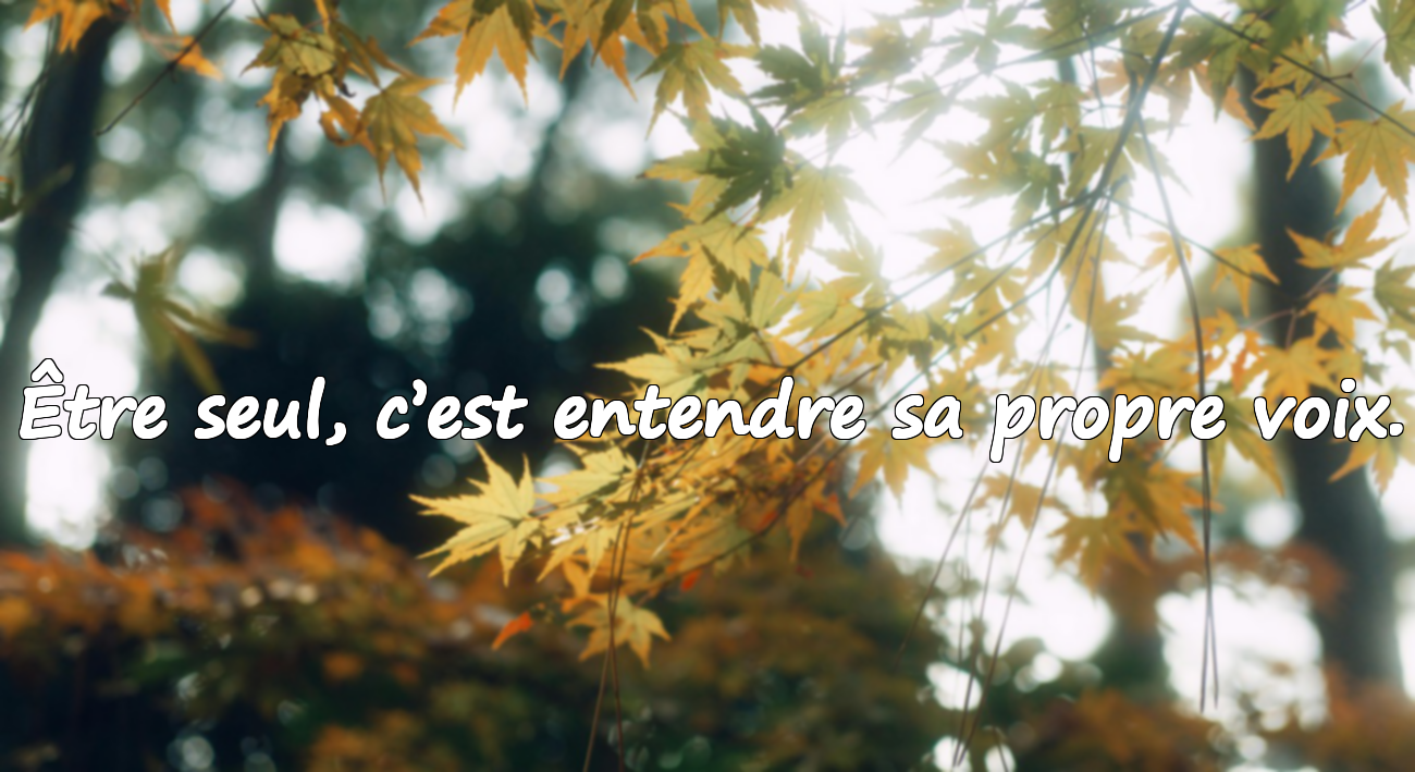 Belles citations sur la solitude