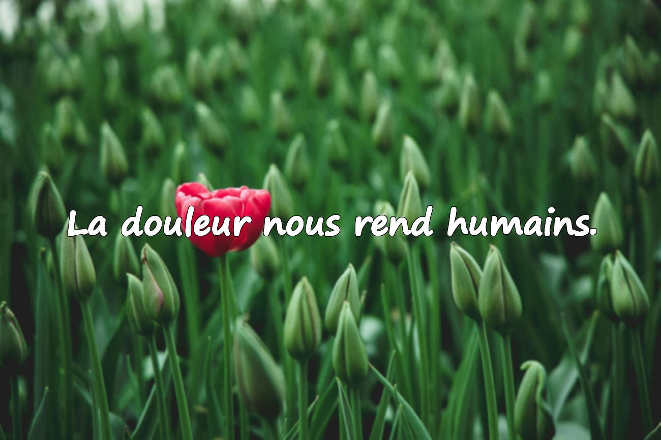 Belles citations sur la tristesse
