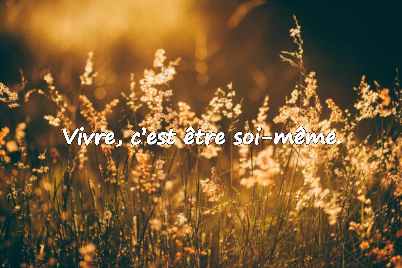 Belles citations sur la vie