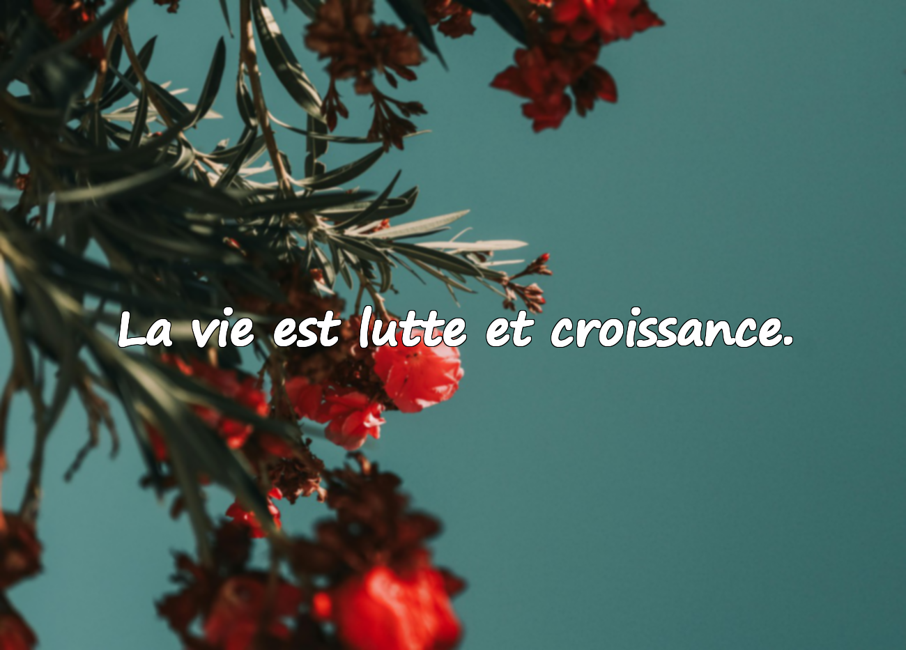 La vie est lutte et croissance.