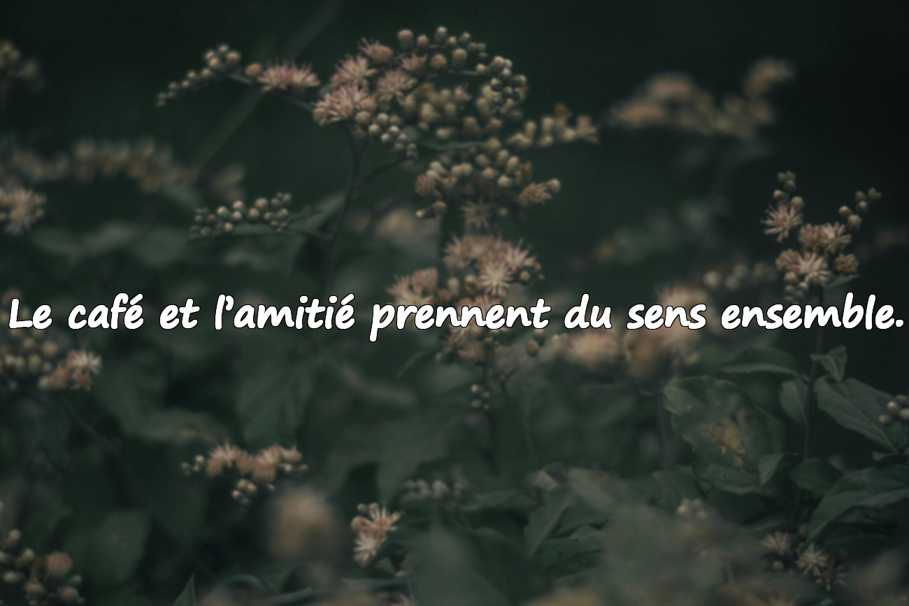 Belles citations sur le café