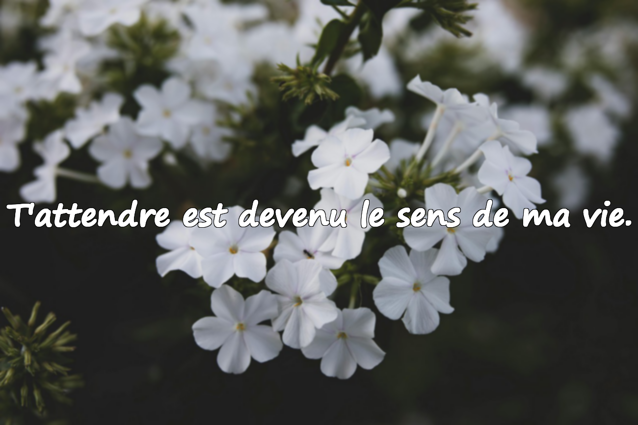 Belles paroles sur la nostalgie et le manque