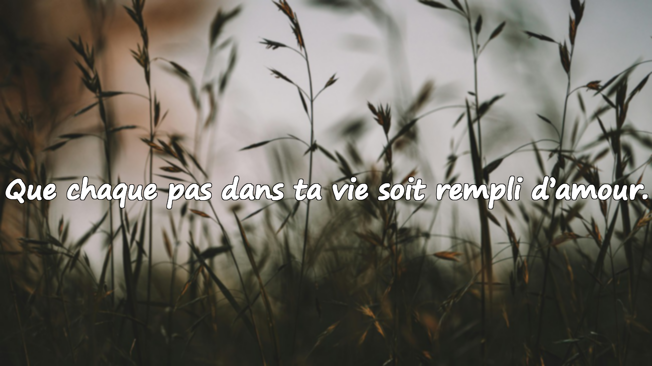 Belles phrases d’anniversaire