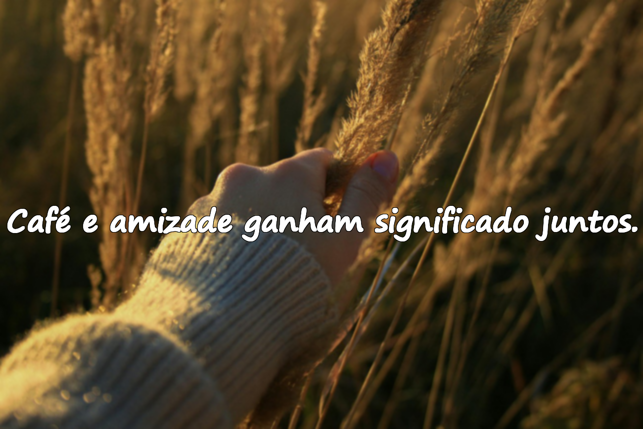 Beloas frases sobre café
