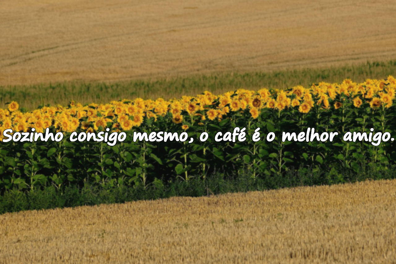 Beloas frases sobre café