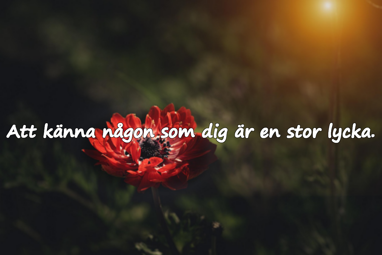 Att känna någon som dig är en stor lycka.
