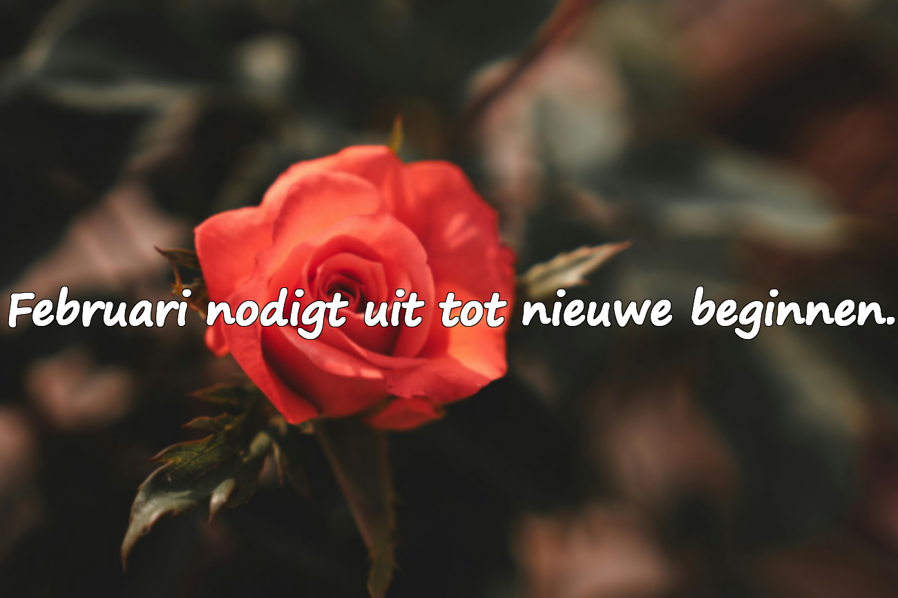 Betekenisvolle Citaten over Februari