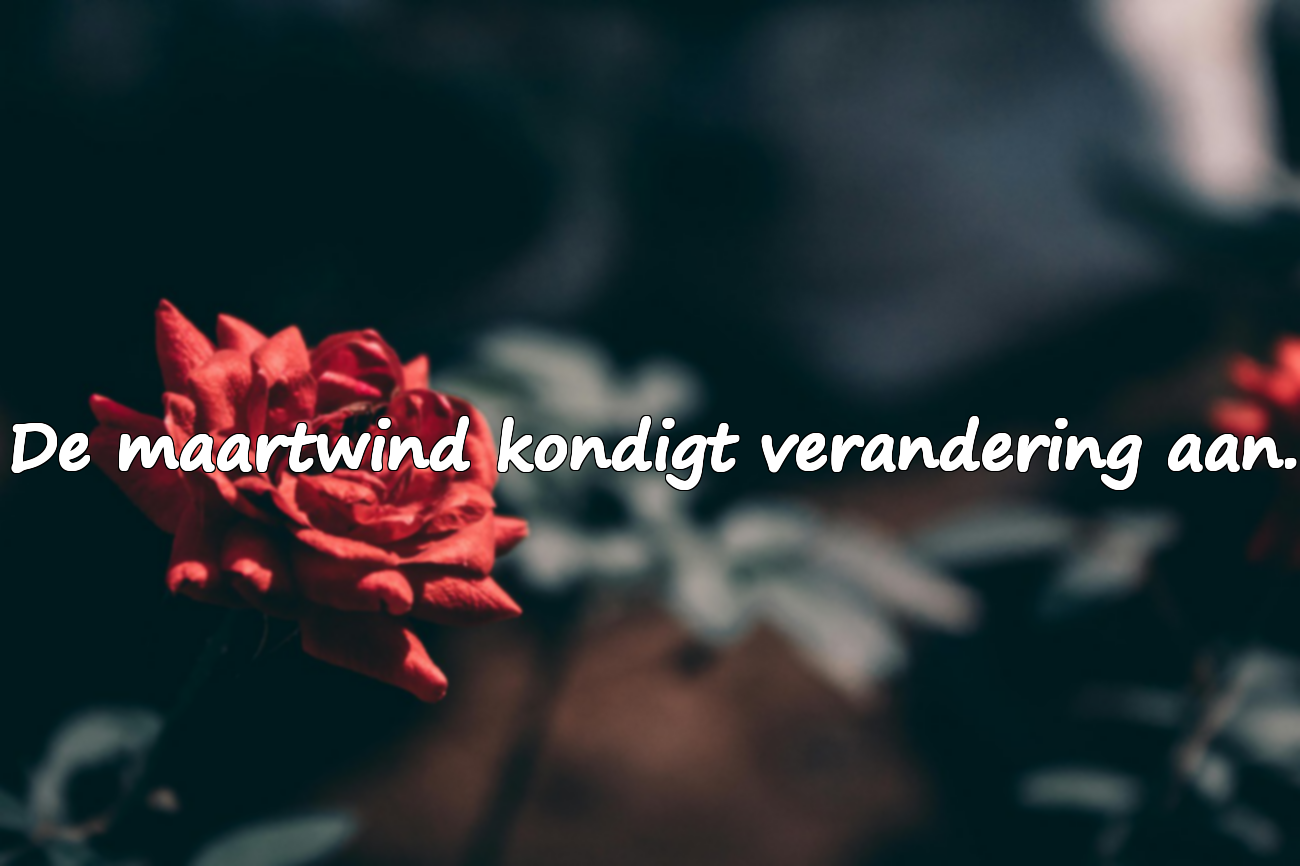 Betekenisvolle Citaten over Maart