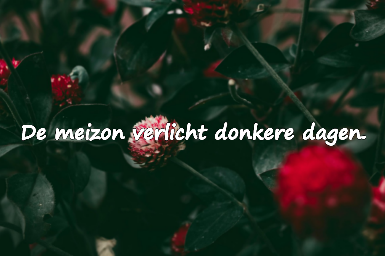 Betekenisvolle Citaten over Mei