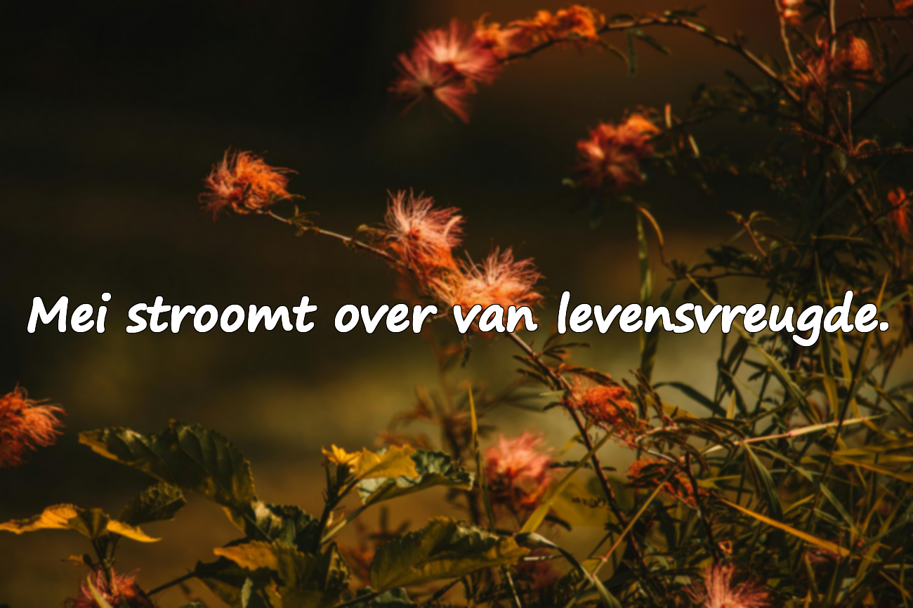 Betekenisvolle Citaten over Mei