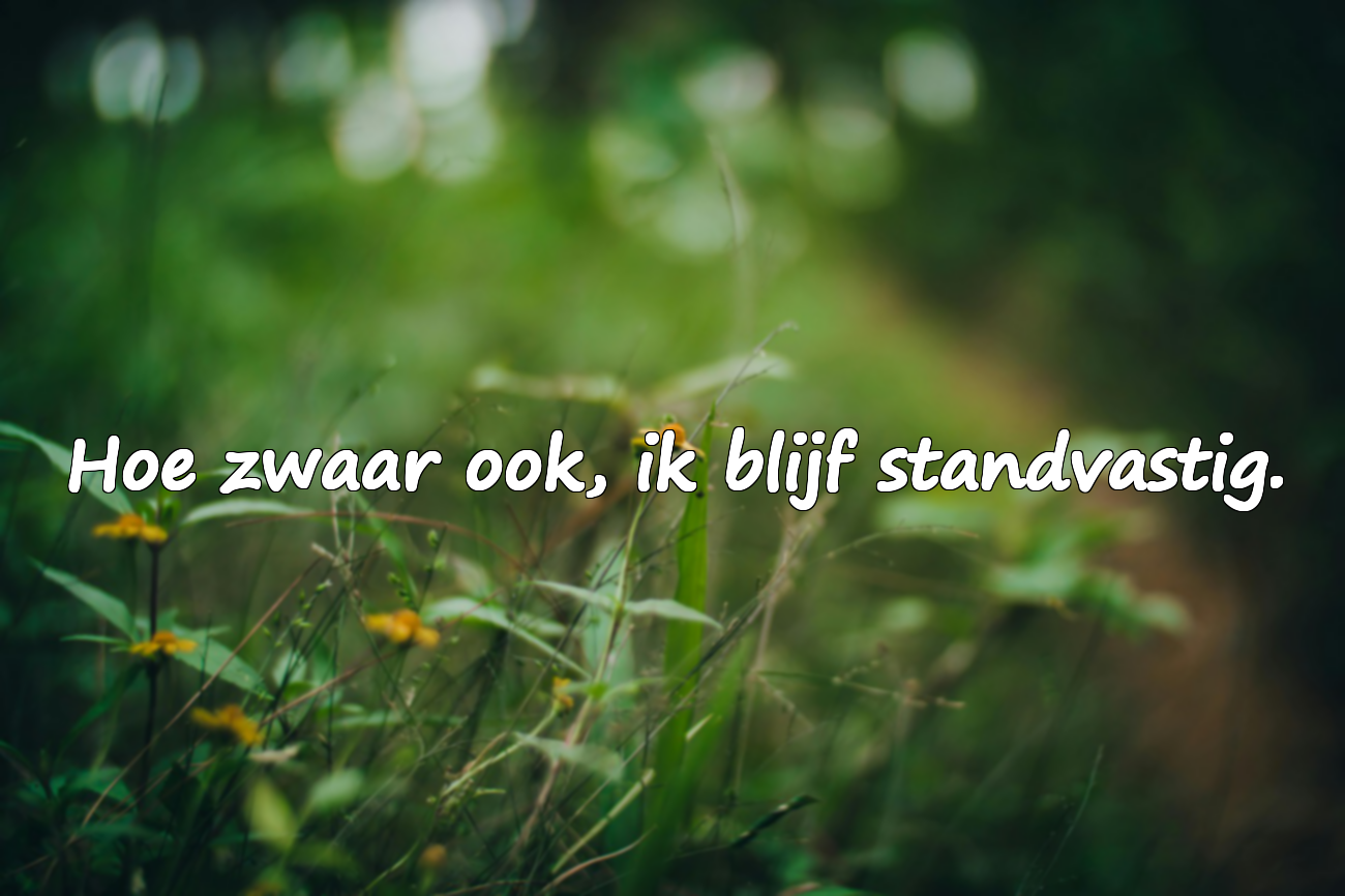 Betekenisvolle Citaten over Militaire Dienst