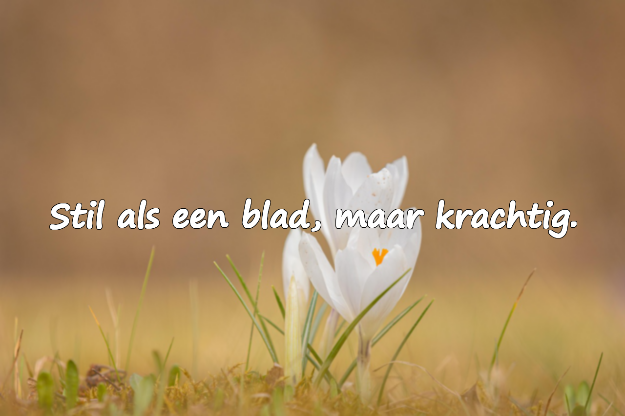 Betekenisvolle Citaten over de Maand Oktober