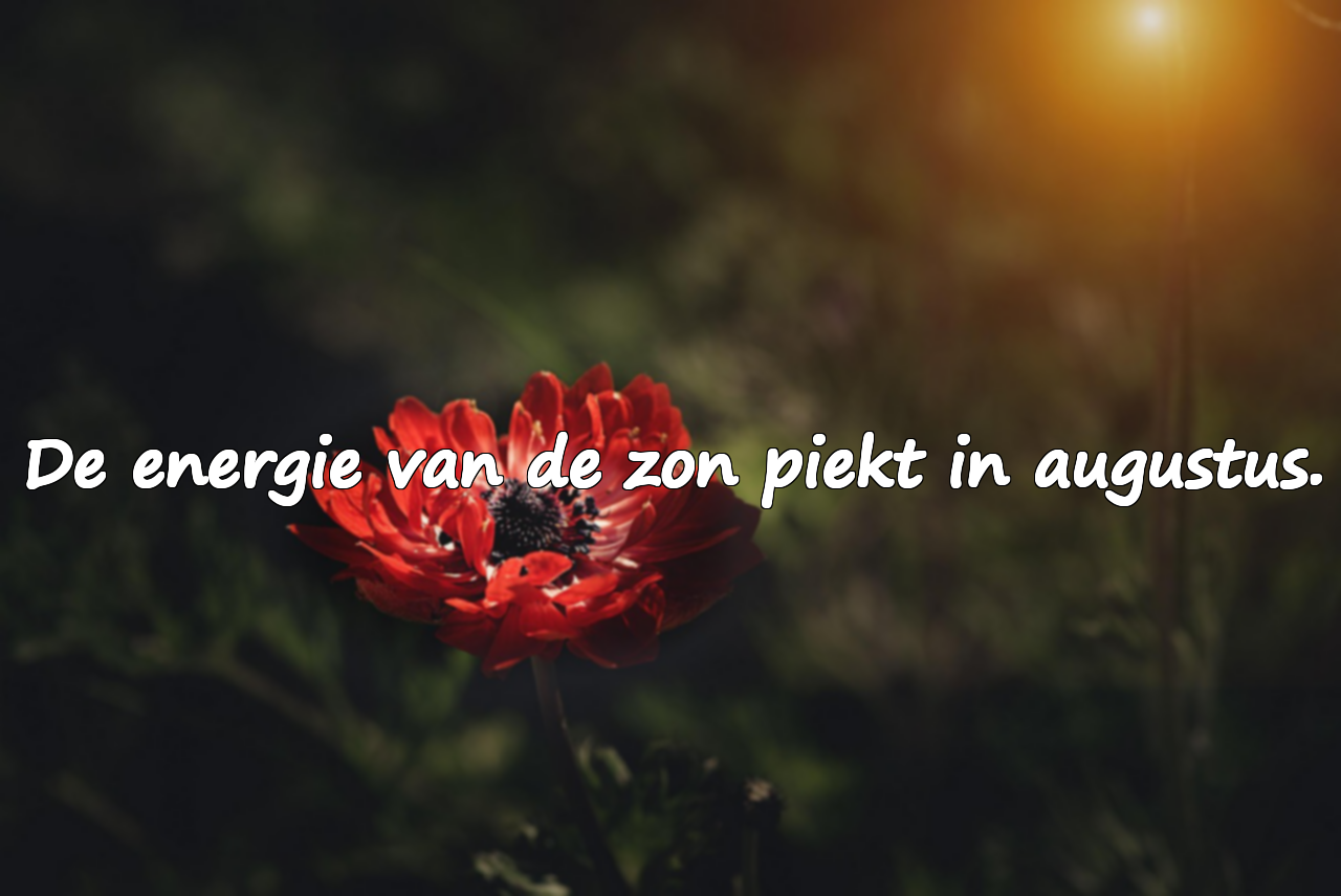 Betekenisvolle Quotes Over Augustus