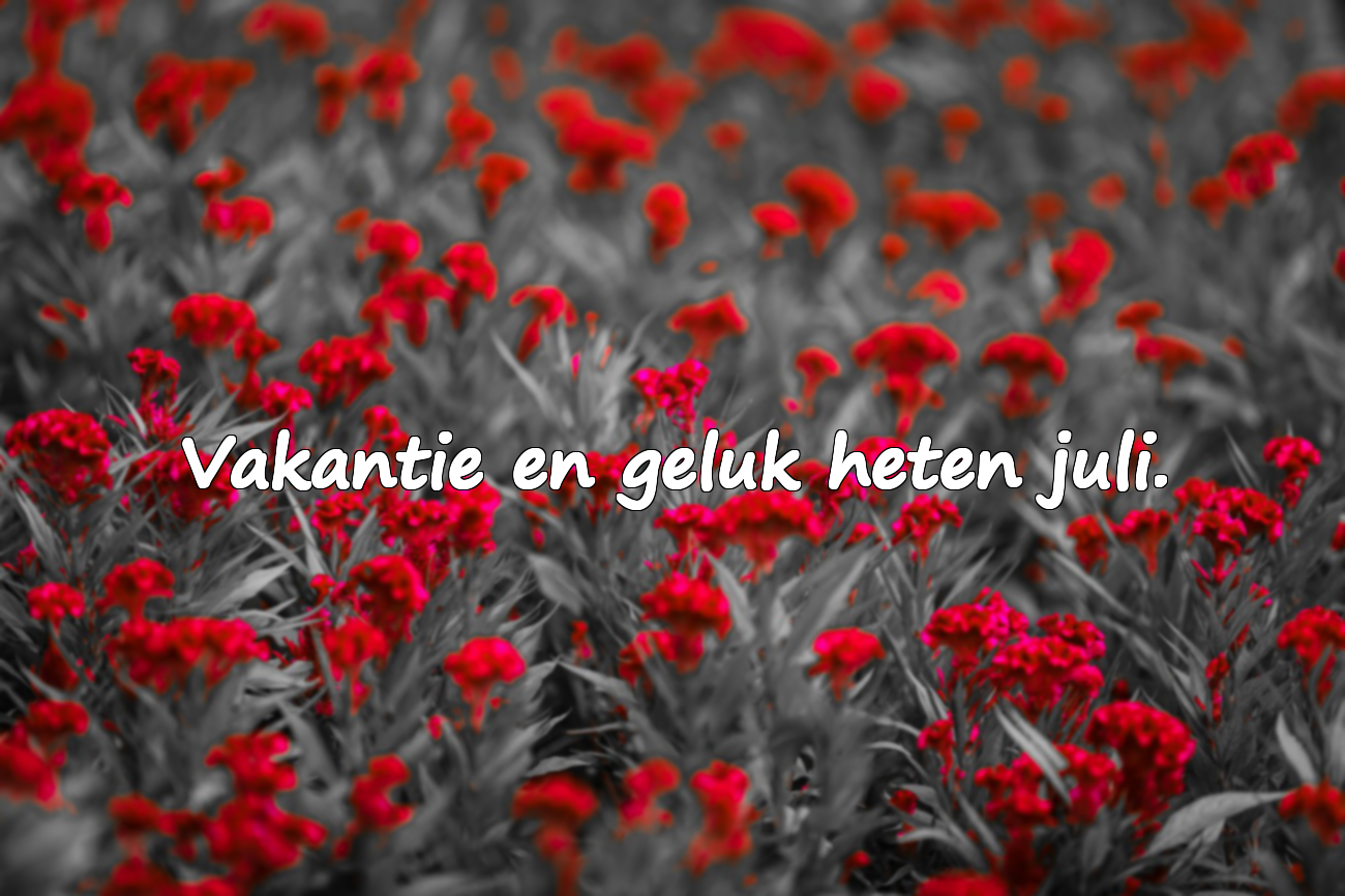 Betekenisvolle Quotes Over Juli