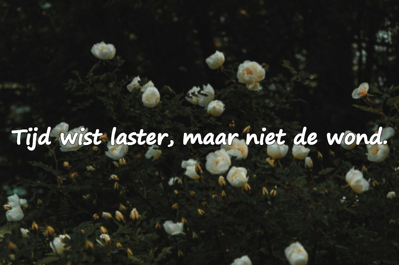 Betekenisvolle Uitspraken over Laster