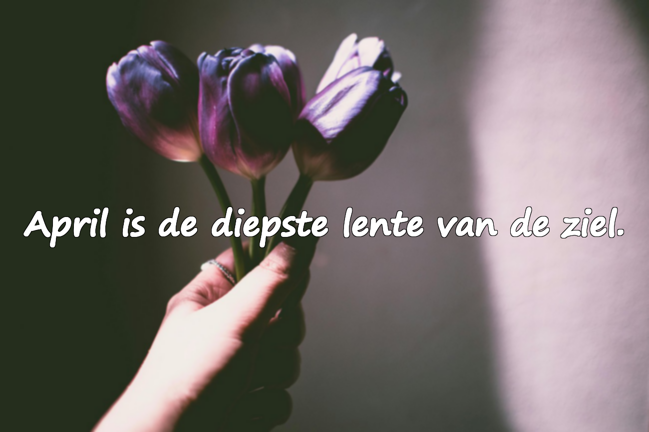 Betekenisvolle aprilcitaten