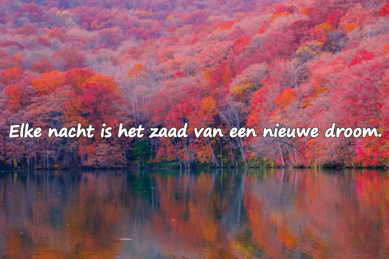 Betekenisvolle citaten over de nacht