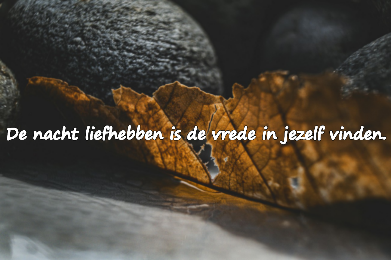 Betekenisvolle citaten over de nacht