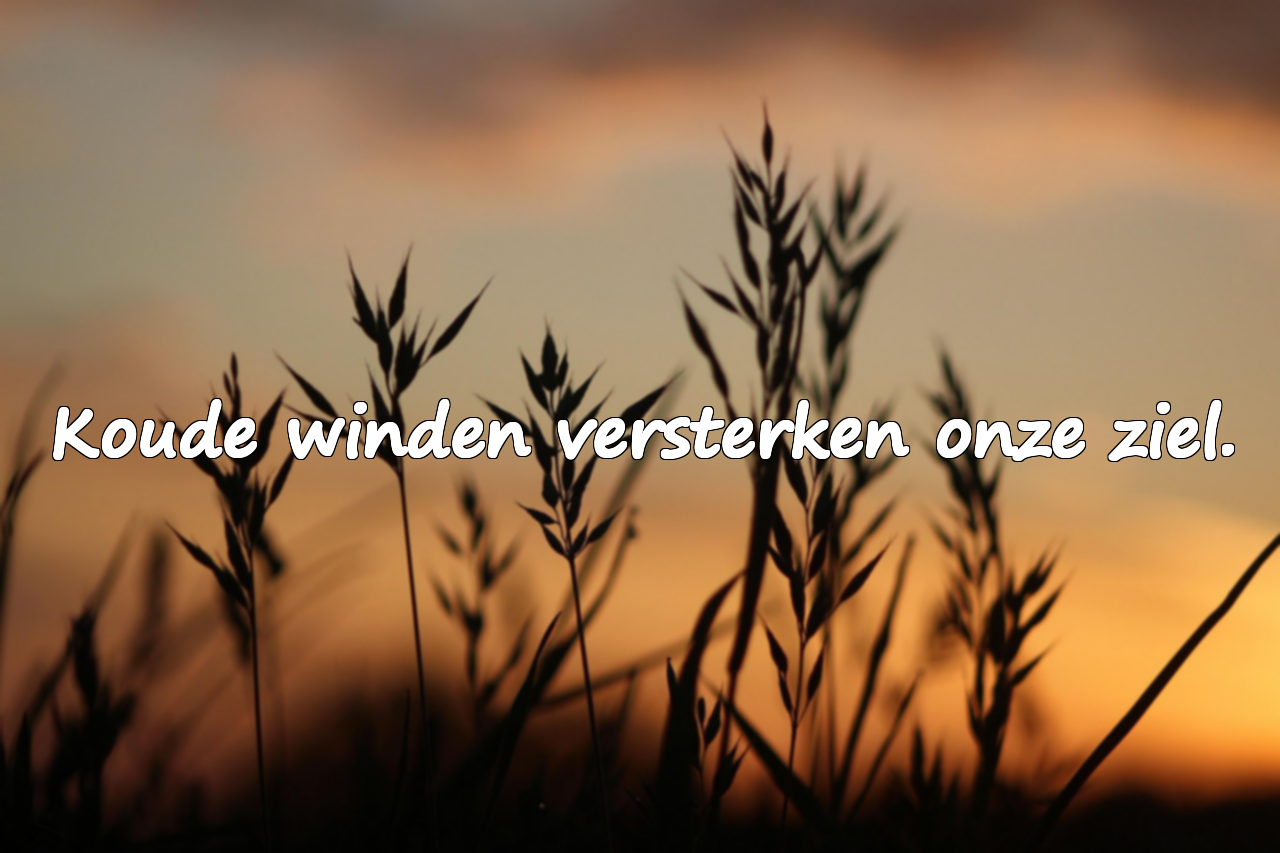 Betekenisvolle citaten over december