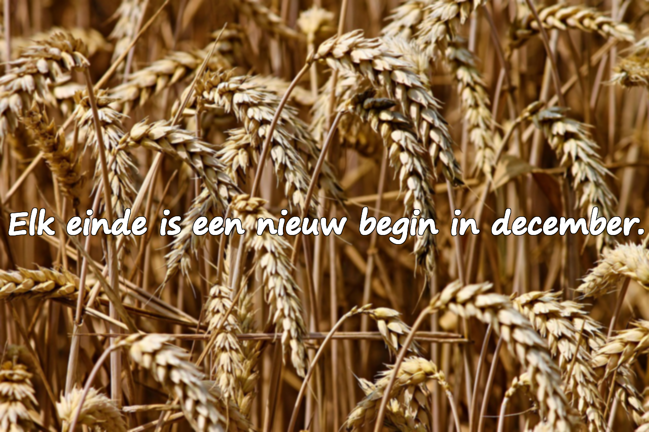 Betekenisvolle citaten over december