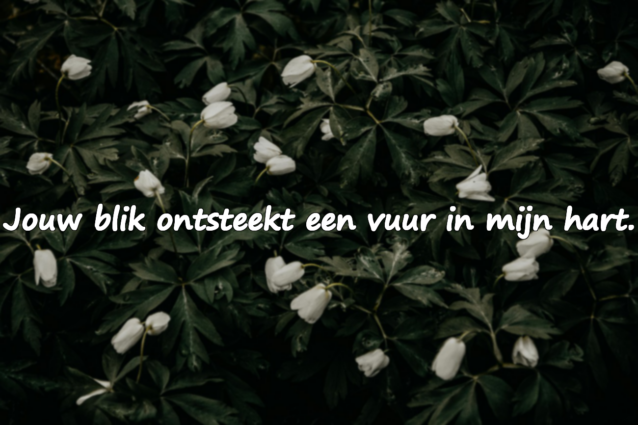 Betekenisvolle en complimenterende citaten over oogcontact