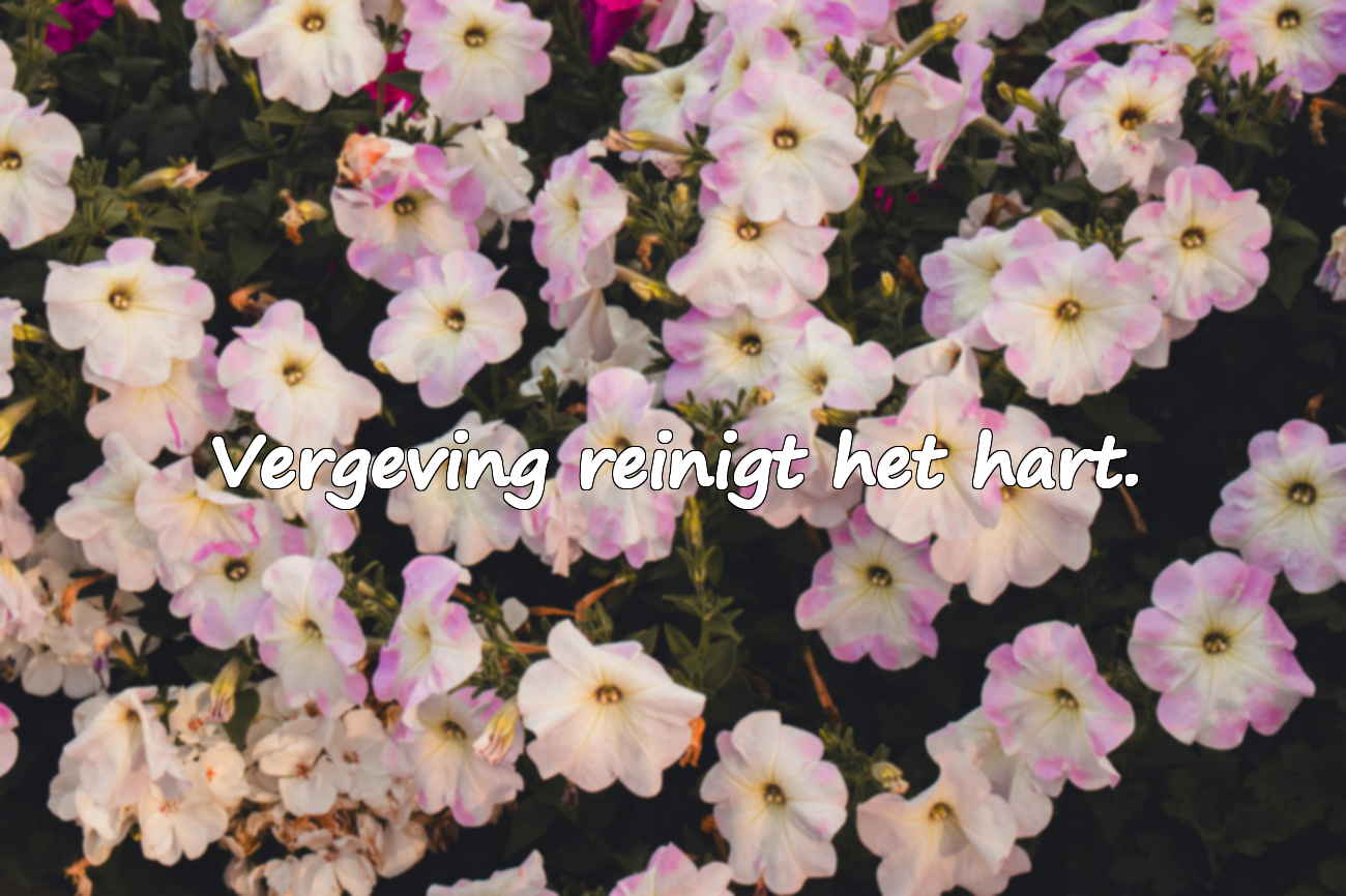 Betekenisvolle en emotionele woorden over vergeving
