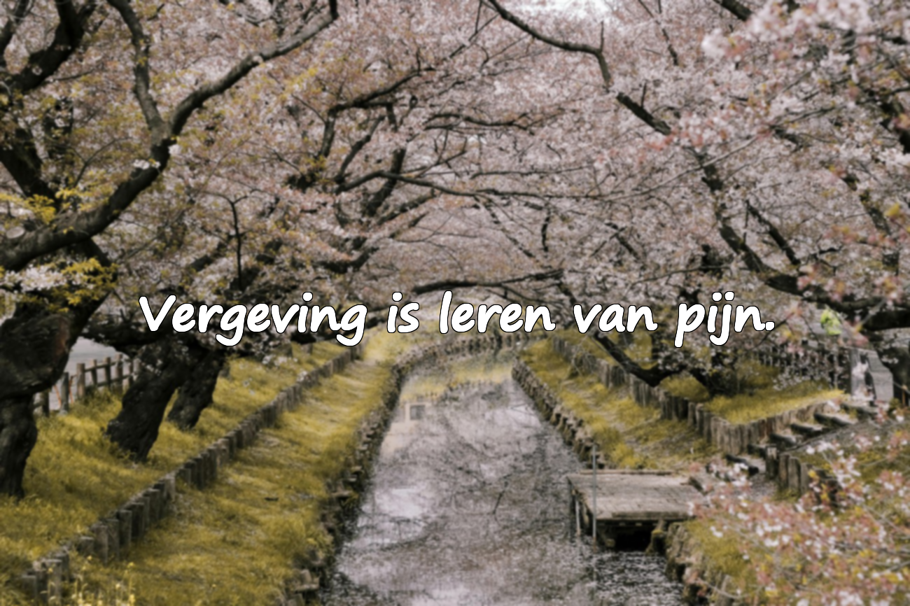 Betekenisvolle en emotionele woorden over vergeving