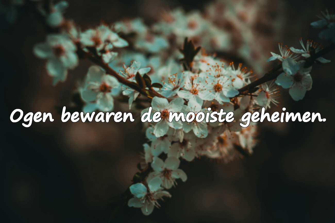 Betekenisvolle en mooie citaten over ogen
