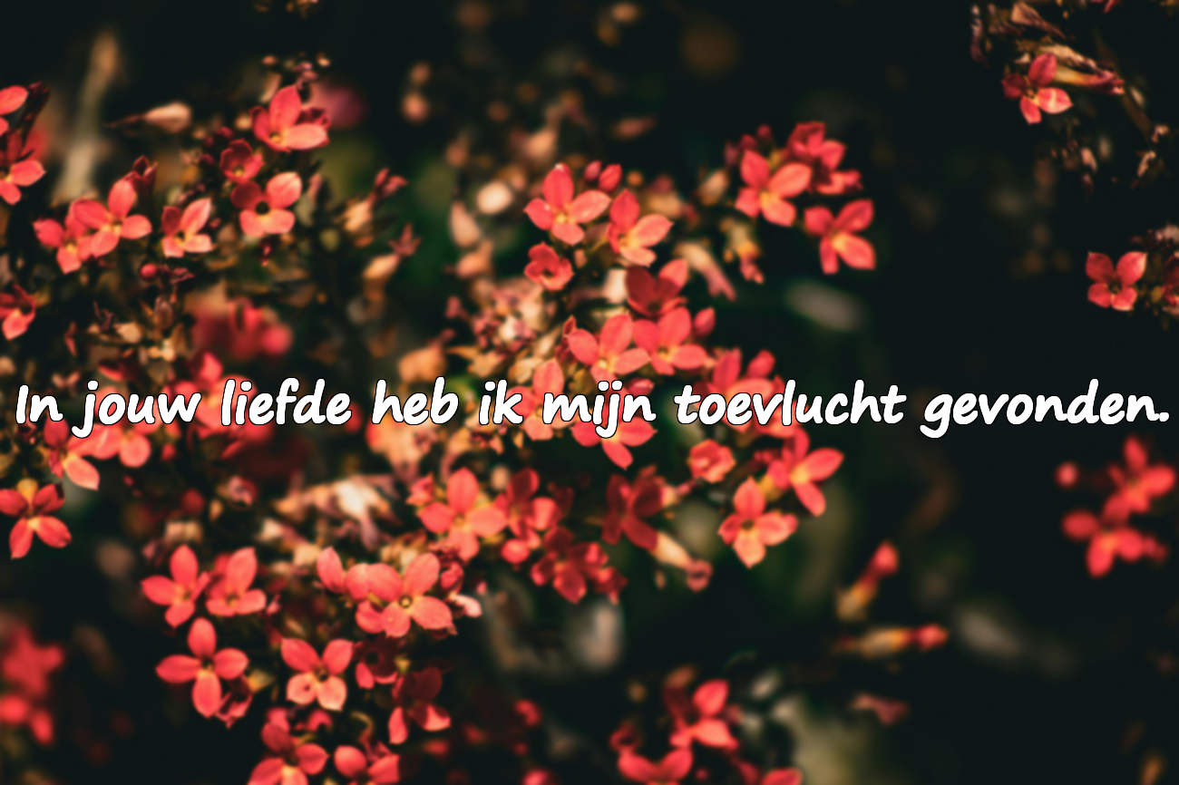 Betekenisvolle liefdeswoorden